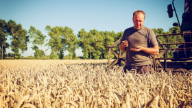 Россия собрала второй по величине урожай пшеницы